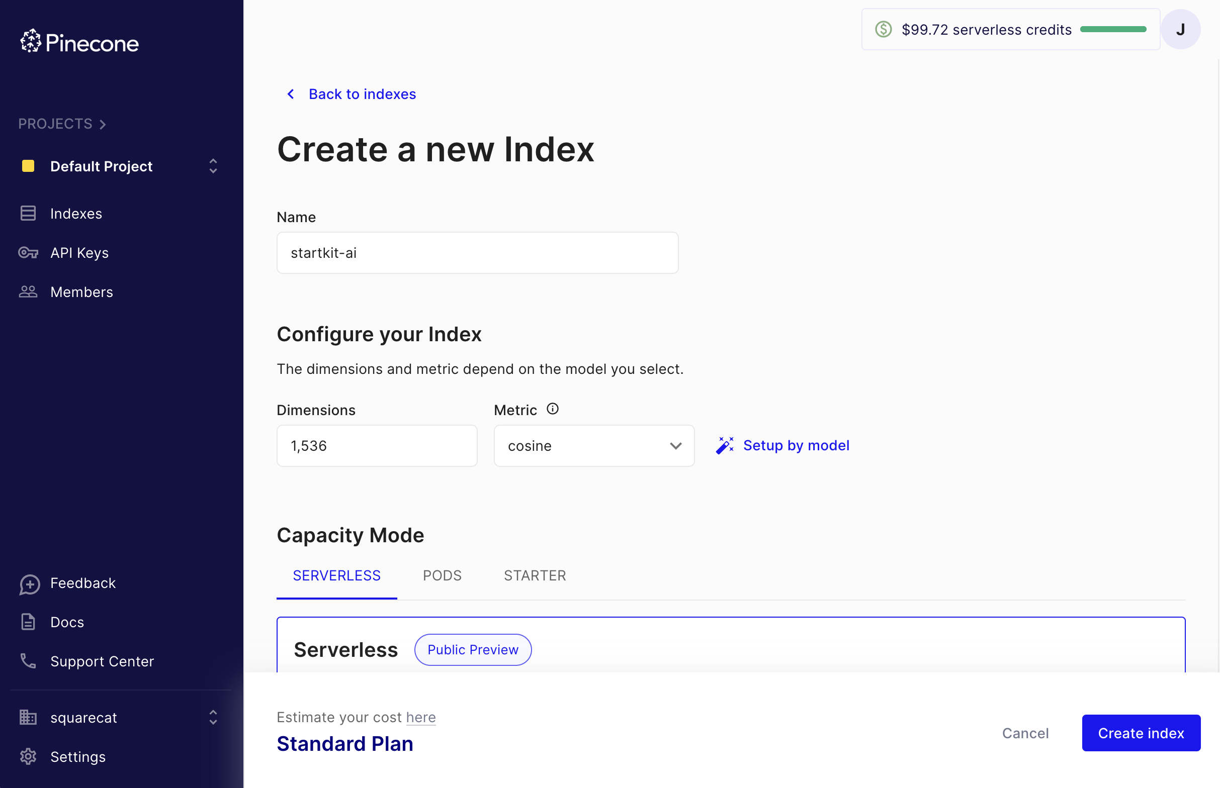 Pinecone Index Setup